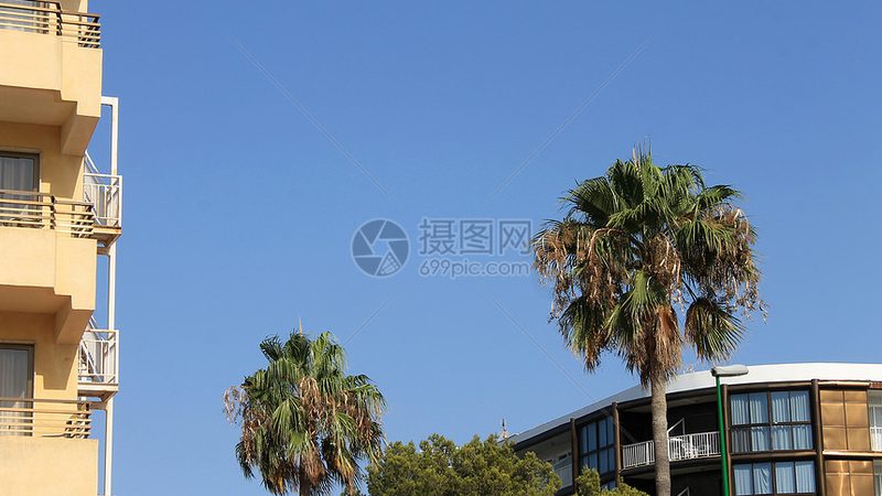四川旅游，揭秘最佳出行月份的奥秘